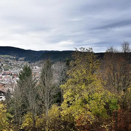 Apartment La Taniere : 4 Personnes