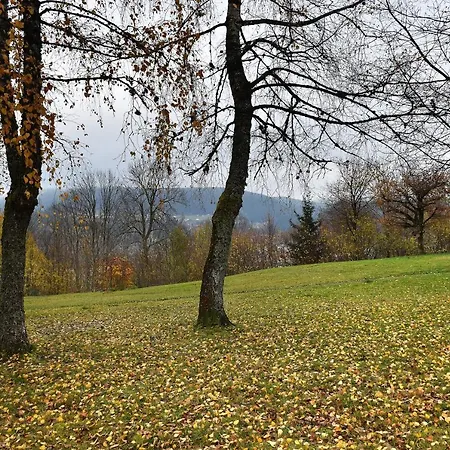 Apartment La Taniere : 4 Personnes Gerardmer