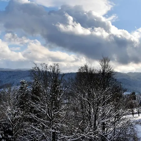 La Taniere : 4 Personnes * Gérardmer