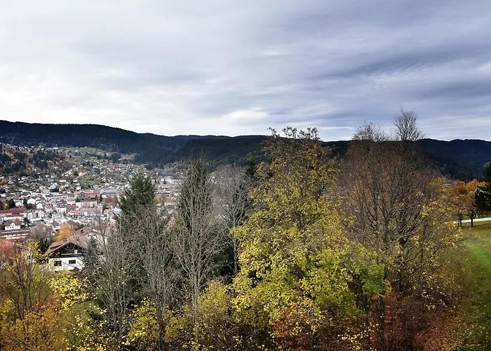 Apartment La Taniere : 4 Personnes