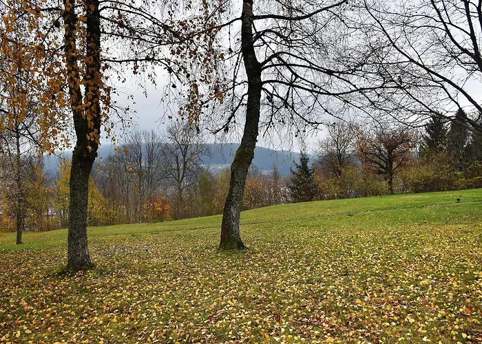 Appartamento La Tanière : 4 Personnes Gérardmer